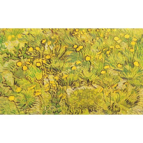 Vincent Van Gogh, A Field Of Yellow Flowers Arles 1889