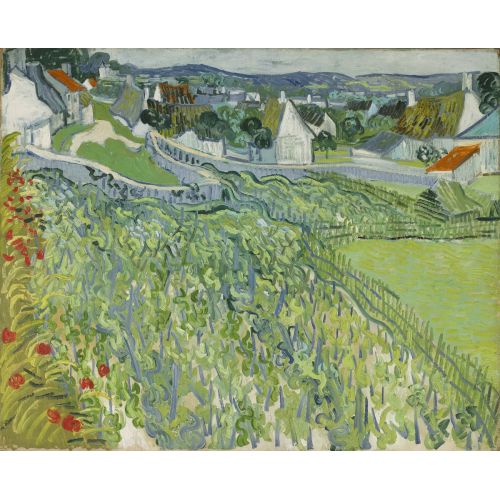 Vincent Van Gogh, Vineyards At Auvers