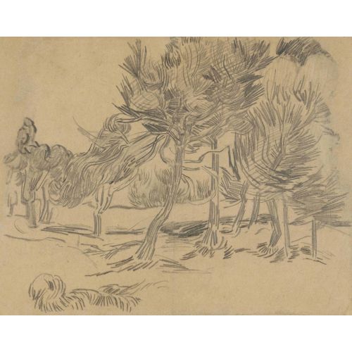 Vincent Van Gogh, A Group Of Pine Trees
