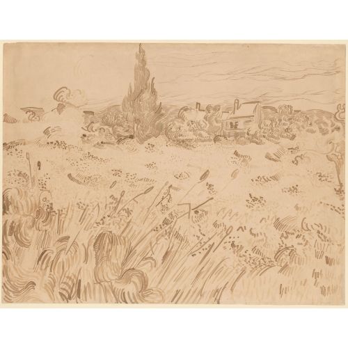 Vincent Van Gogh, Wheat Field, Saint Remy De Provence