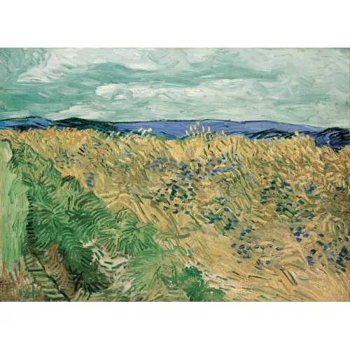 Vincent Van Gogh, Mısır Çiçekli Buğday Tarlası Post Empresyonizm Sanat Akımları ```htmlVincent van Gogh, Buğday Tarlası