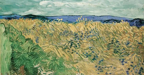Vincent Van Gogh, Wheat Field With Corn Flowers | Arthipo