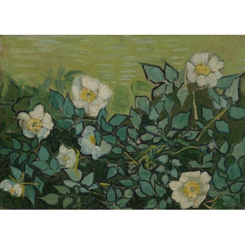 Vincent Van Gogh, Yabani Güller
