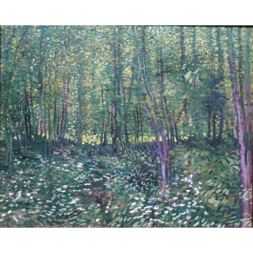 Vincent Van Gogh, Ağaçlar Ve Ağaç Altındaki Çalılık Paris