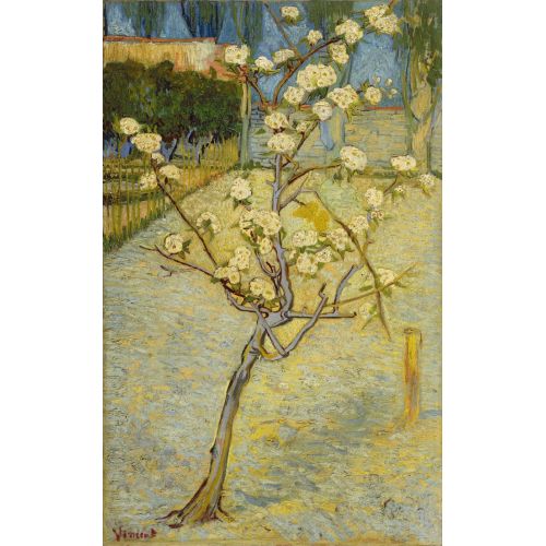 Vincent Van Gogh, Pear Tree In Blossom Impressionism Art Movements Vincent Van Goghs Pear Tree in BlossomPear Tree in Blossom is
