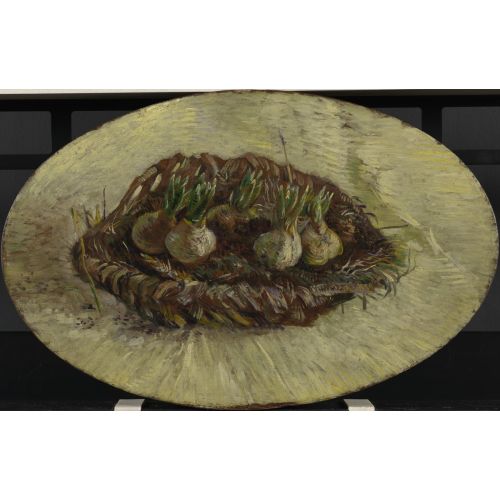 Vincent Van Gogh, Sümbül Soğanları İle Sepet