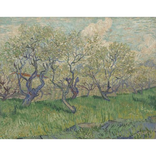 Vincent Van Gogh, Blooming Orchard