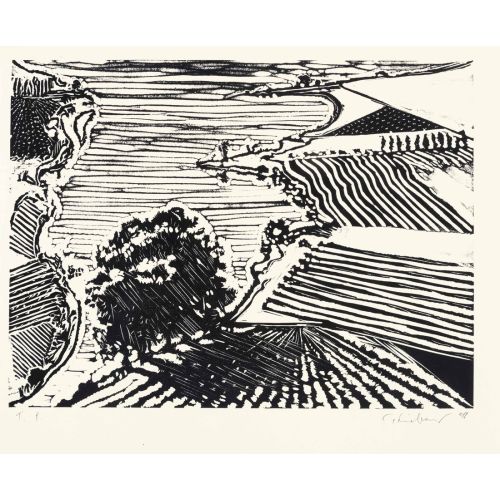 Wayne Thiebaud, Delta River And Farms