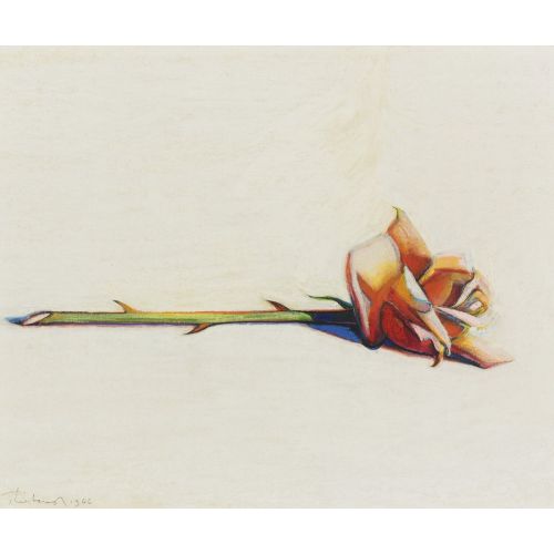 Wayne Thiebaud, Rose Wayne Thiebaud, Rose