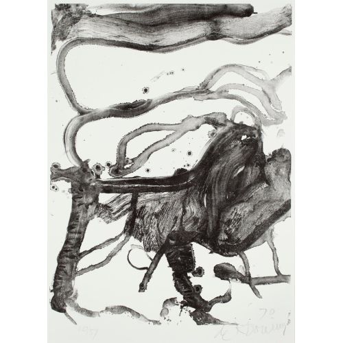 Willem De Kooning, Lise Sırası