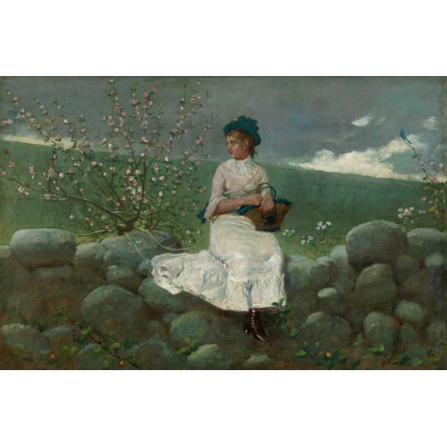 Peach Blossoms, Winslow Homer