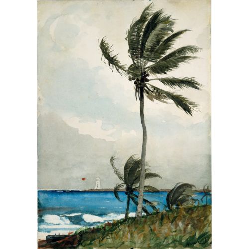 Palmiye Ağacı Nassau, Winslow Homer Palmiye Ağacı Nassau, Winslow Homer