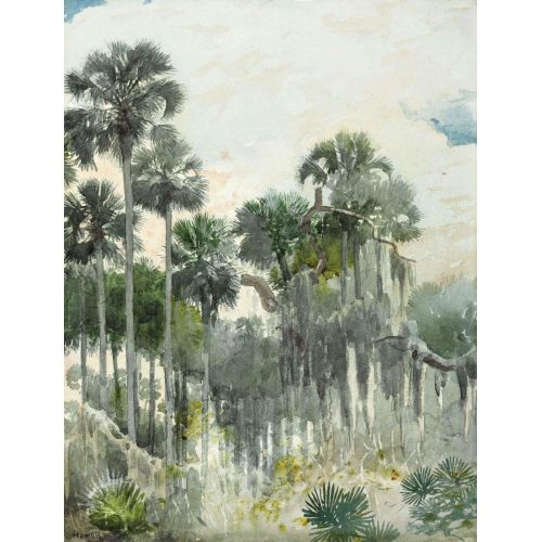 Florida Jungle, Winslow Homer Florida Jungle, Winslow Homer