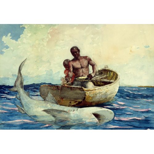 Shark Fishing, Winslow Homer Realism Art Movements Shark Fishing, Winslow HomerWinslow Homers Shark Fishing is an exciting and