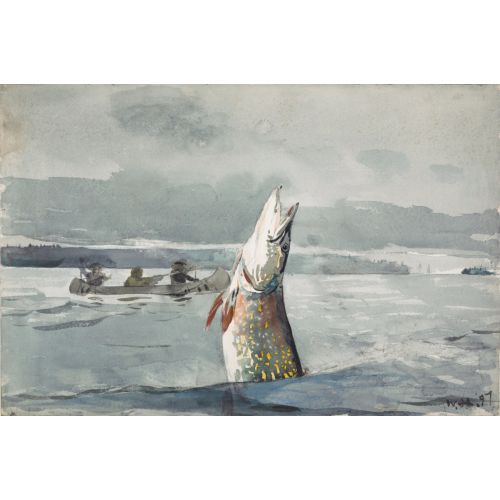 Pike Gölü, St. John, Winslow Homer Pike Gölü, St. John, Winslow Homer