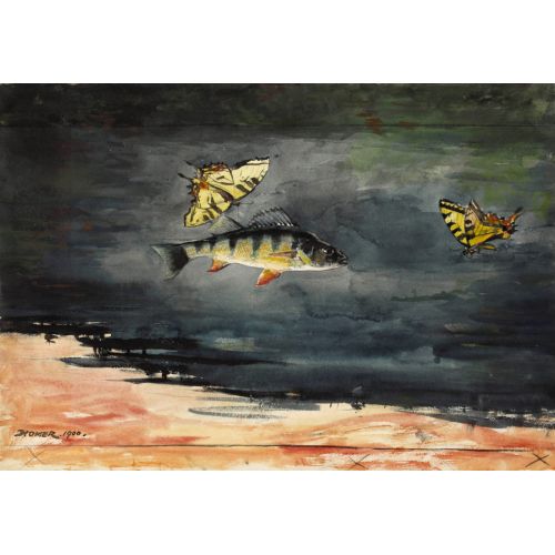 Balık Ve Kelebek, Bermuda, Winslow Homer Balık Ve Kelebek, Bermuda, Winslow Homer