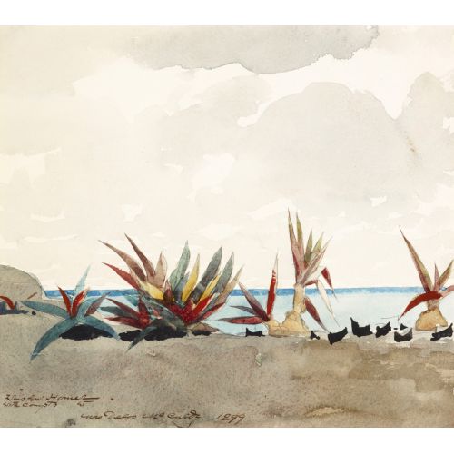 Yüzyıl Bitkileri İle Nassau Sahili, Winslow Homer