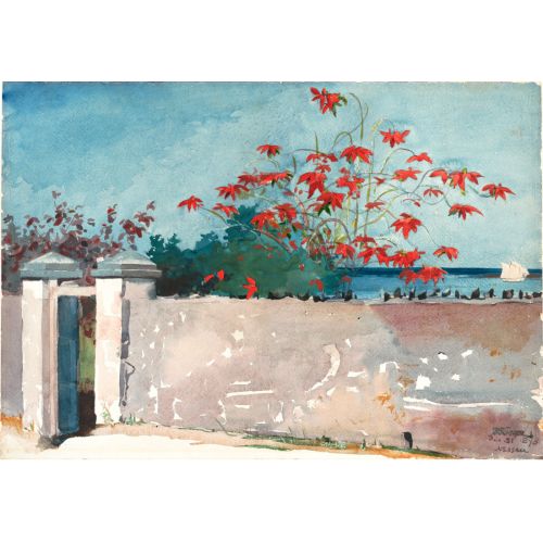 A Wall, Nassau, Winslow Homer A Wall, Nassau, Winslow Homer