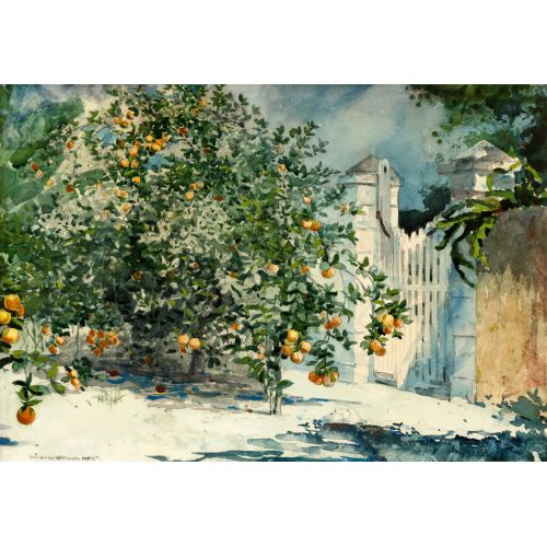 Portakal Ağaçları Ve Kapı, Winslow Homer