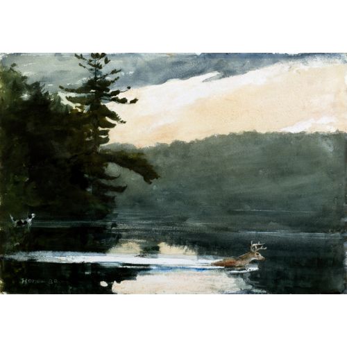 Deer In The Adirondacks, Winslow Homer Deer In The Adirondacks, Winslow Homer