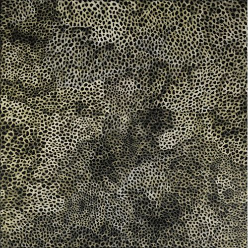 Yayoi Kusama, Ağlar