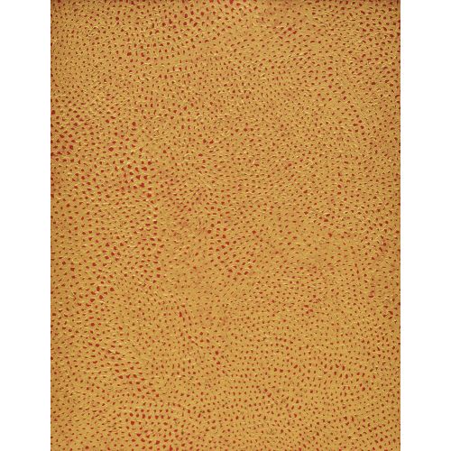 Yayoi Kusama, Turuncu Sonsuzluk Ağları 2