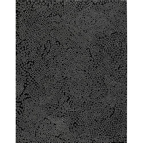 Yayoi Kusama, Galaksi