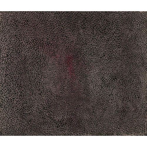 Yayoi Kusama, Sonsuzluk Ağları Kahverengi