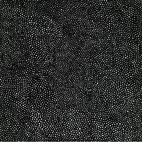 Yayoi Kusama, Black Infinity Nets
