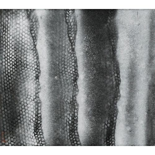 Yayoi Kusama, Dalga 2 Yayoi Kusama, Dalga 2
