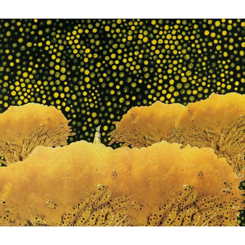 Yayoi Kusama, Çiçek Bahçesinde Yayoi Kusama, Çiçek Bahçesinde
