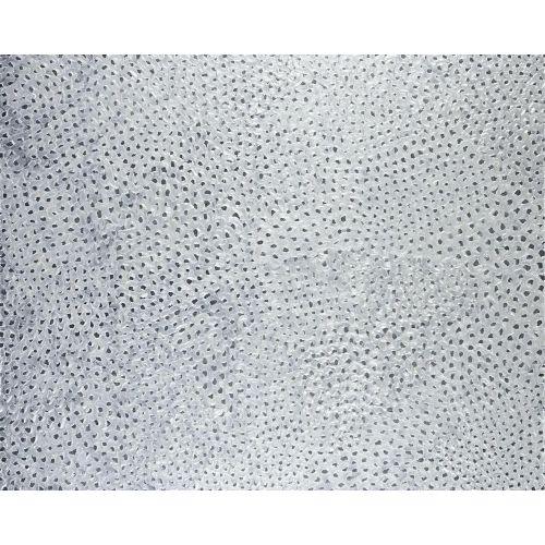 Yayoi Kusama, Beyaz Ve Gri Sonsuzluk Ağları 11 Yayoi Kusama, Beyaz Ve Gri Sonsuzluk Ağları 11