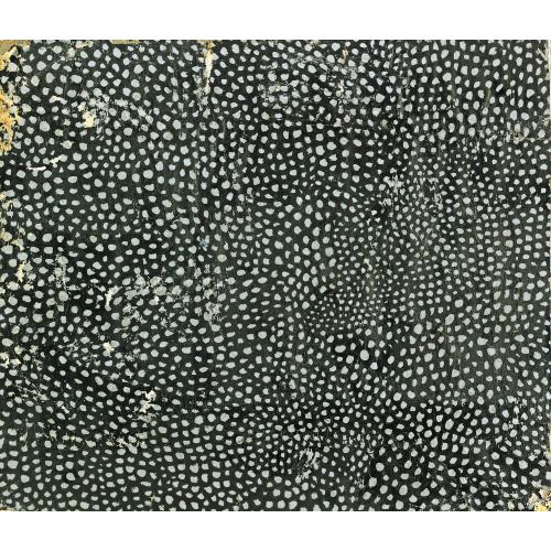 Yayoi Kusama, No Mf Yayoi Kusama, No Mf