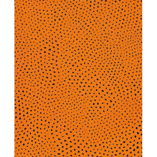 Yayoi Kusama, Turuncu Sonsuzluk Ağları 4