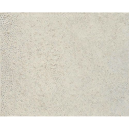 Yayoi Kusama, No F 1959