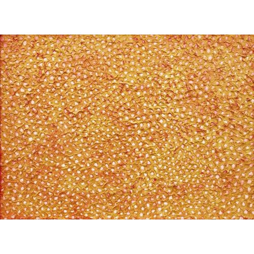 Yayoi Kusama, Turuncu Sonsuzluk Ağları 10 Yayoi Kusama, Turuncu Sonsuzluk Ağları 10