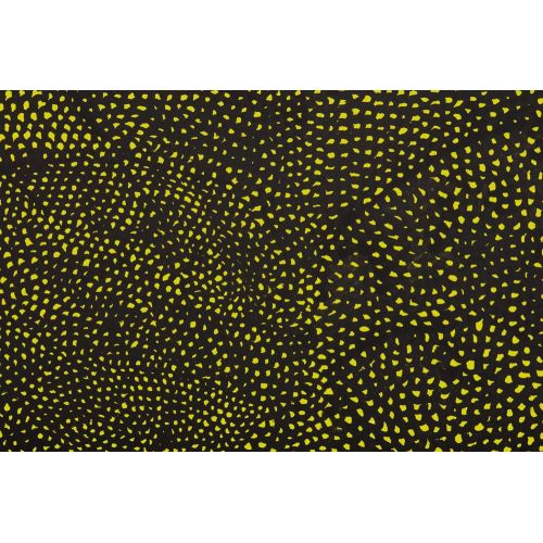 Yayoi Kusama, Black And Yellow Infinity Nets 1