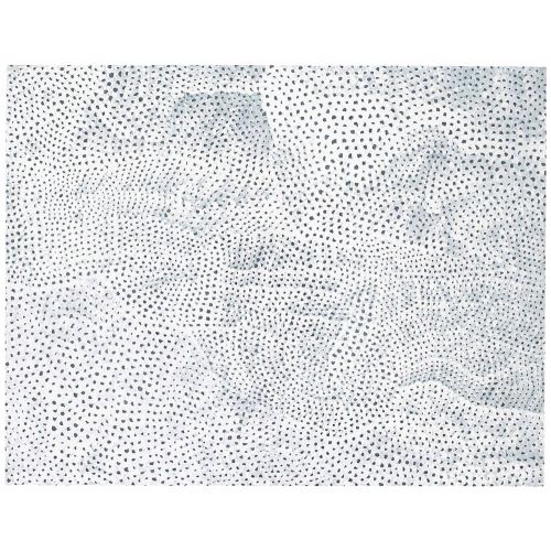 Yayoi Kusama, Beyaz Ve Gri Sonsuzluk Ağları 3 Yayoi Kusama, Beyaz Ve Gri Sonsuzluk Ağları 3