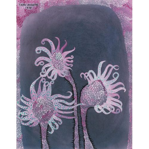 Yayoi Kusama, Gecenin Kraliçeleri Yayoi Kusama, Gecenin Kraliçeleri