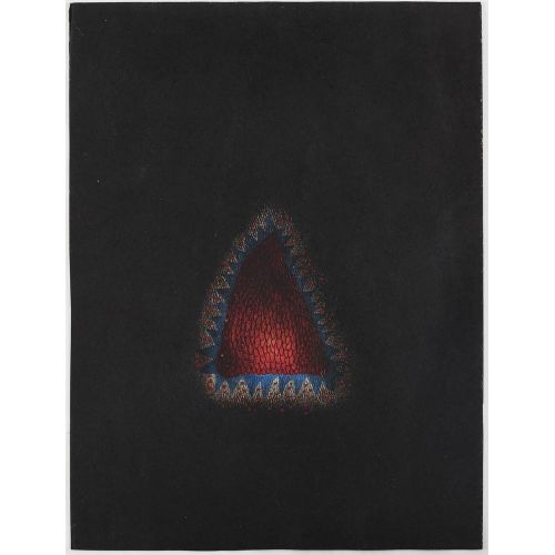 Yayoi Kusama, Kadın Yayoi Kusama, Kadın