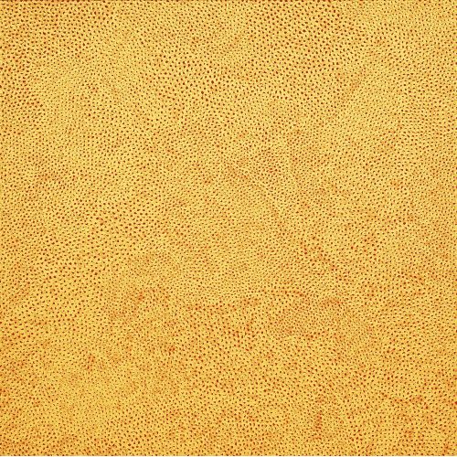 Yayoi Kusama, Yellow Infinity Nets 12
