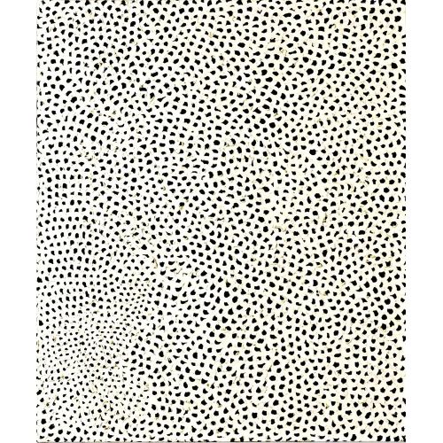 Yayoi Kusama, Ağlar