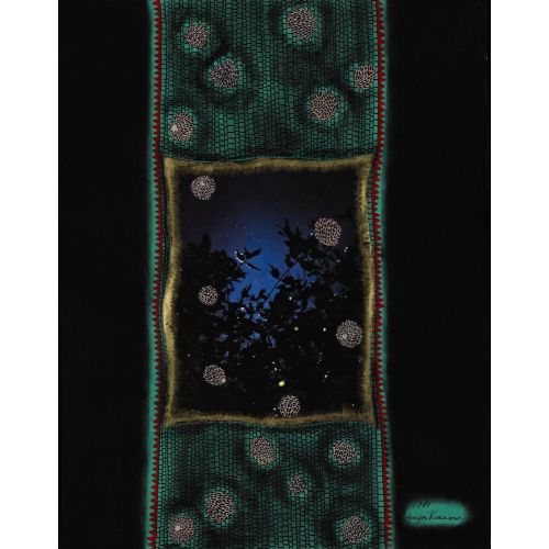 Yayoi Kusama, Gece Gökyüzü Yayoi Kusama, Gece Gökyüzü
