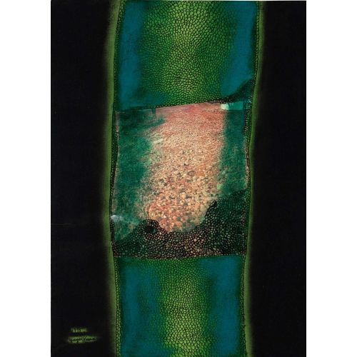 Yayoi Kusama, Asa Ni Akeru Michi Şafakta Uyanan Yol Yayoi Kusama, Asa Ni Akeru Michi Şafakta Uyanan Yol