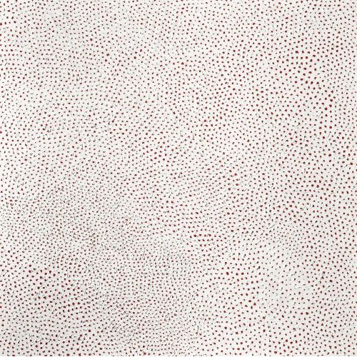 Yayoi Kusama, Sonsuzluk Ağları, Beyaz Ve Kırmızı