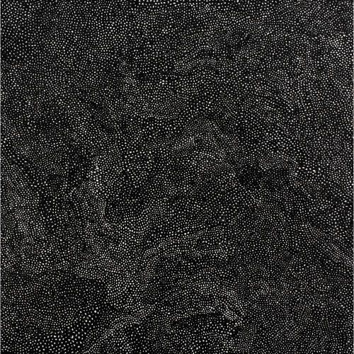 Yayoi Kusama, Black Infinity Nets Twhon