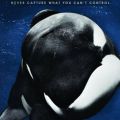 Documentary
