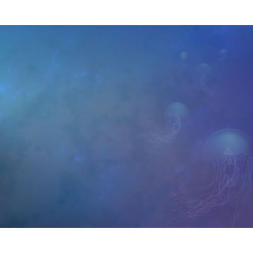 Jellyfish Poster