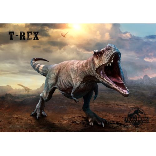 T-Rex Posteri 4 T-Rex Posteri 4