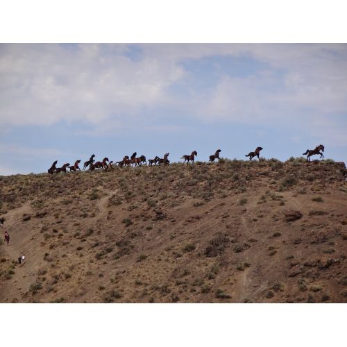 Wild Horses Poster